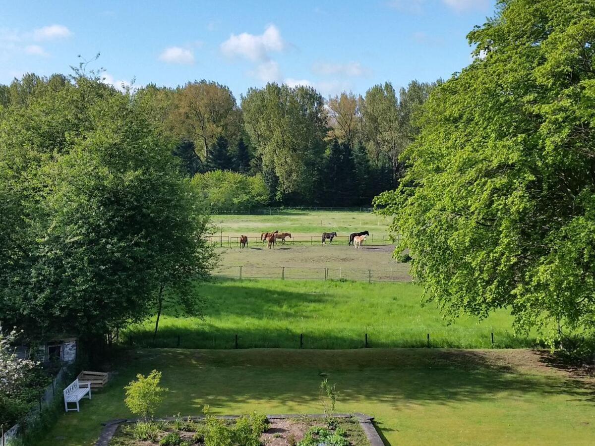 Schwalbennest Apartman Lübeck Kültér fotó